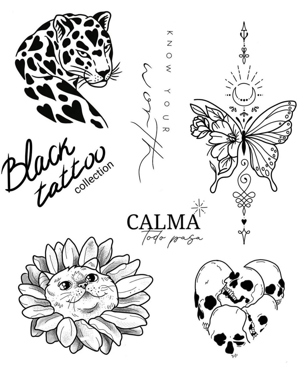 Sketch 5